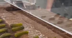 Как в США производят соленые огурцы в шоколаде