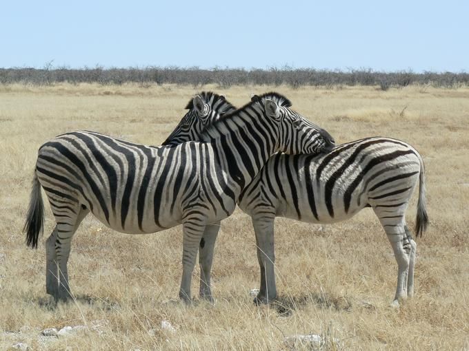 Намибия (19 Фото)