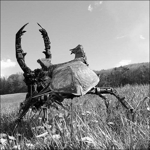 Железные жуки-монстры (29 Фото)