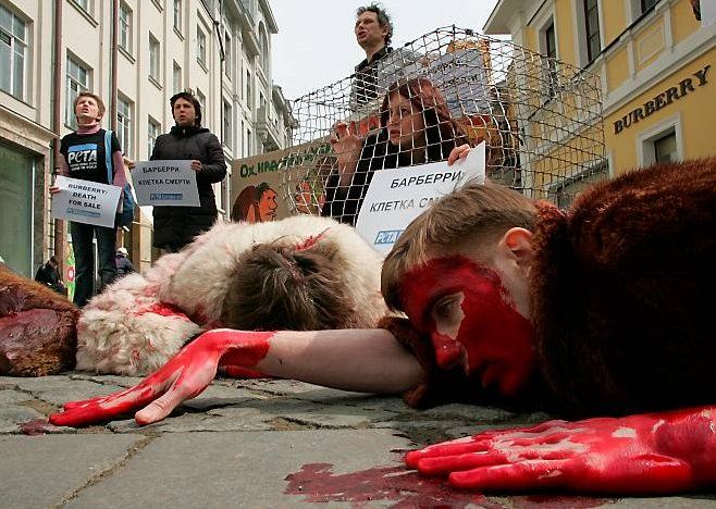 Протест против убийства животных (7 Фото)