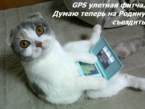 http://trinixy.ru/pics2/20070622/kotofej_13.jpg