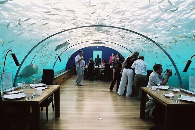 Еще один ресторан под водой (9 Фото)