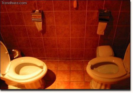 Прикольные туалеты (16 Фото)