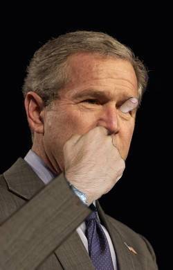 Такой разный Буш (22 Фото)