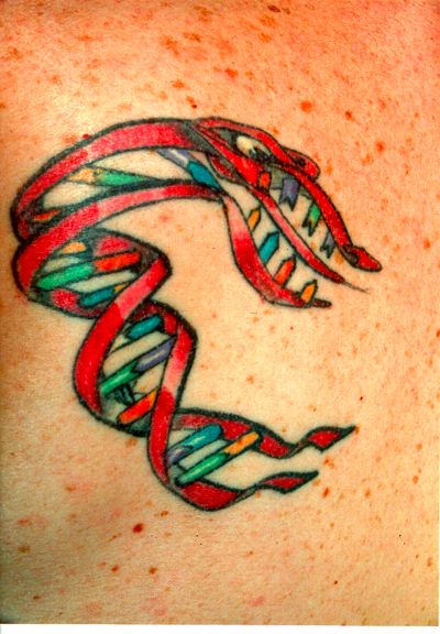 Научные татуировки (36 Фото)