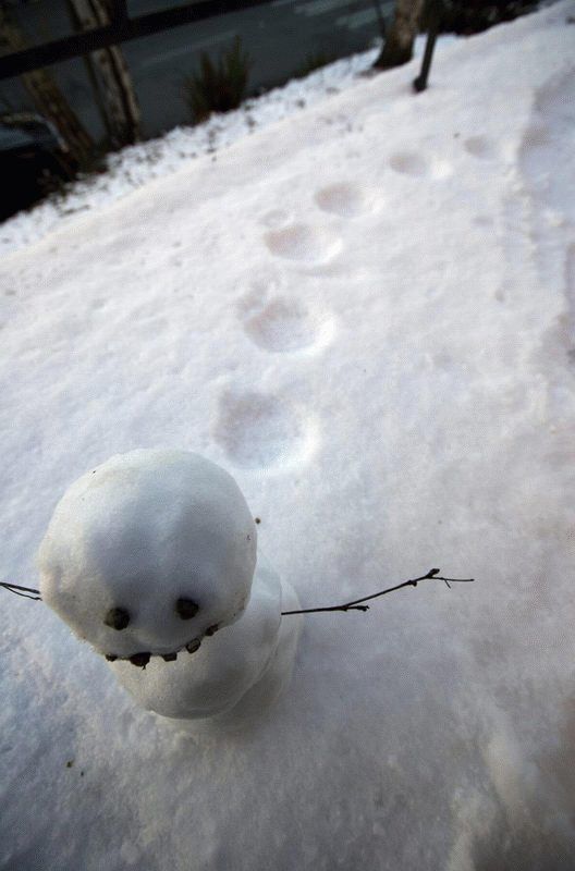 Классные снеговики (14 Фото)