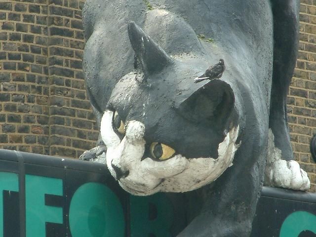 Гигантский кот на вывеске в Лондоне (4 Фото)