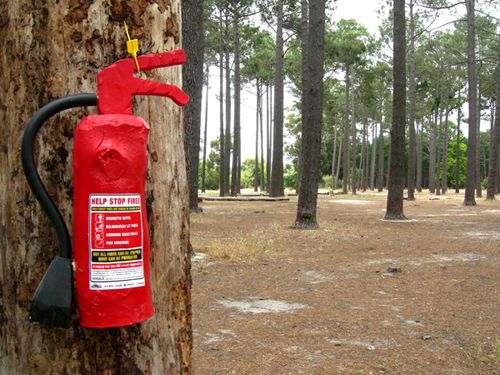 Необычный способ борьбы с лесными пожарами (5 Фото)