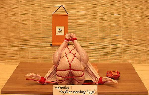 Садо-мазо курица (11 Фото)