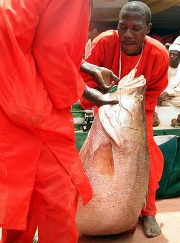 Рыбалка в Африке (10 Фото)