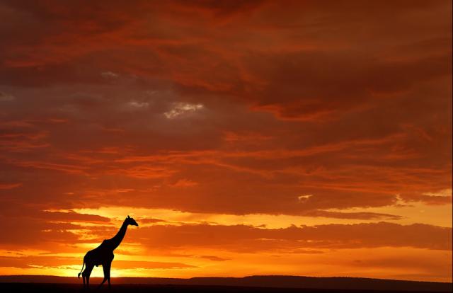Очень красивые пейзажи Африки (10 Фото)