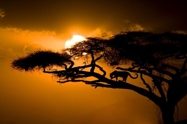 Очень красивые пейзажи Африки (10 Фото)