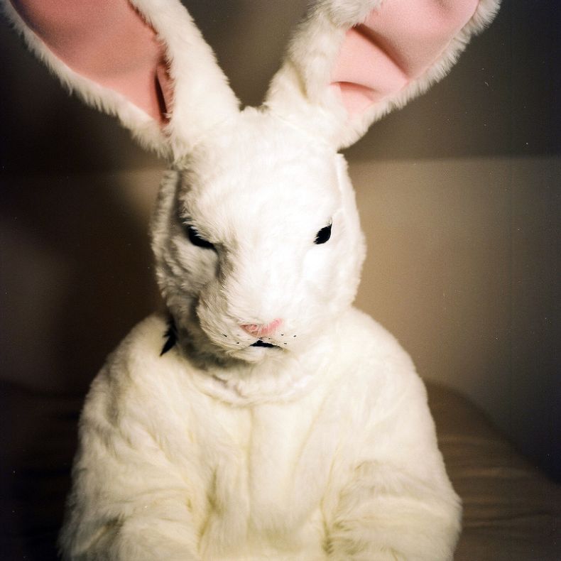 Костюм кролика (9 Фото)