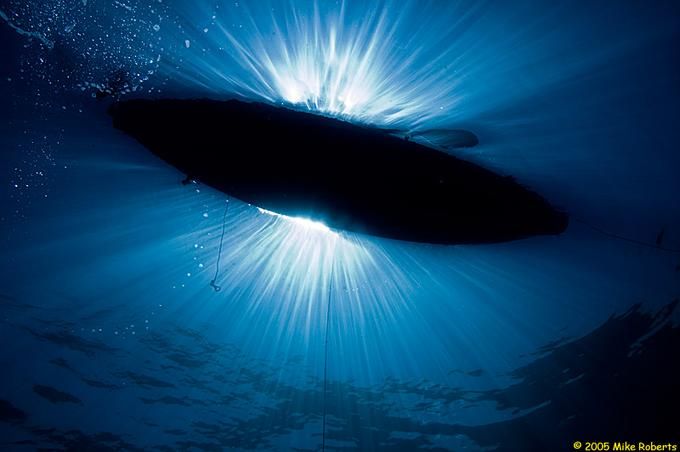 Красивые фотографии подводного мира (23 Фото)