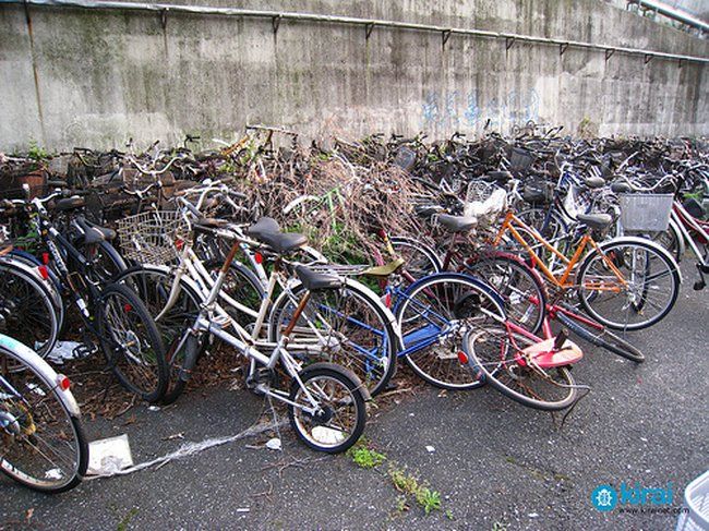 Кладбища для велосипедов (16 Фото)