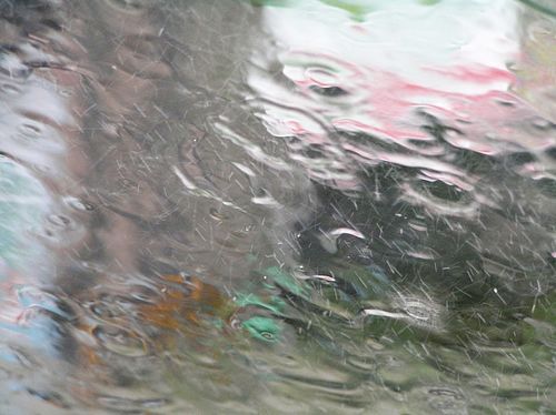 Немного про дождь (50 Фото)