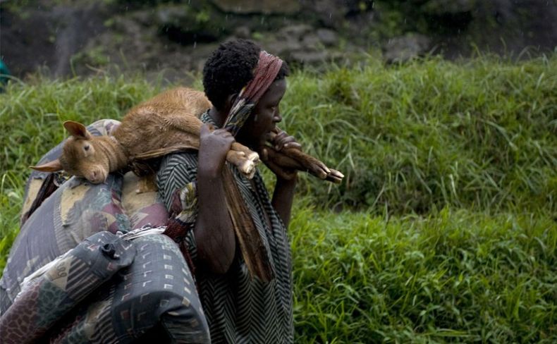 Война в Конго (14 Фото)
