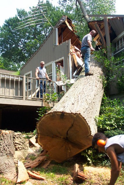 Дерево упало на дом (3 Фото)