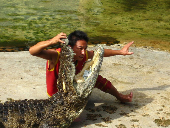 Укротители крокодилов (5 Фото)