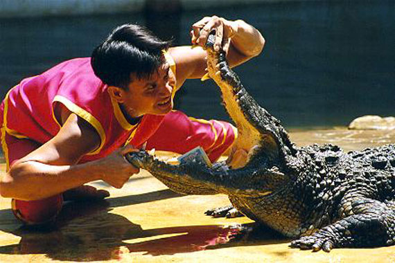 Укротители крокодилов (5 Фото)