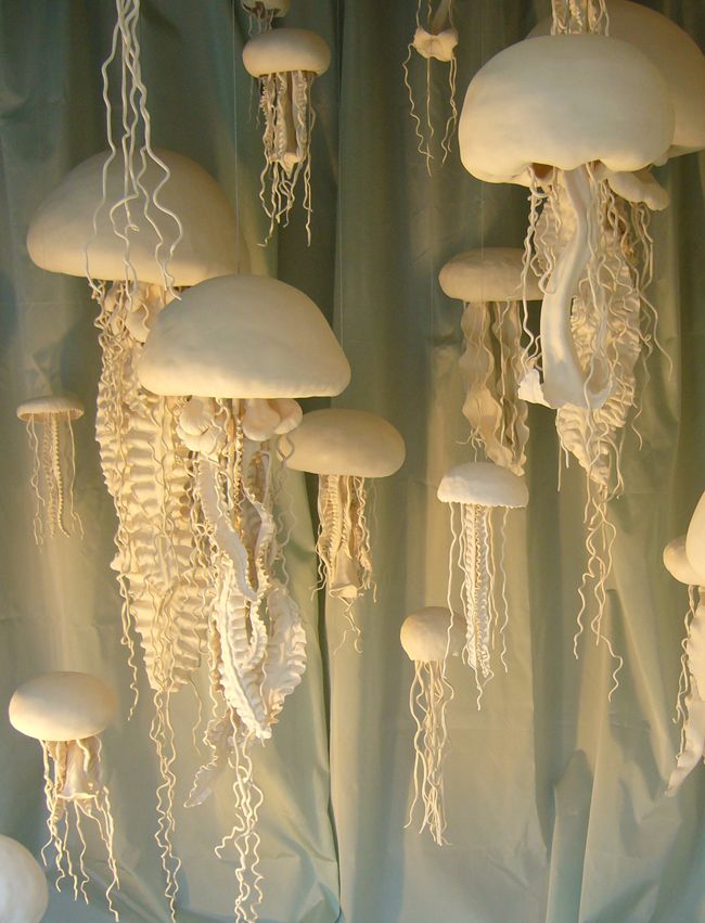 Медузы (7 Фото)