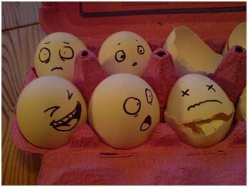  Живые
яйца 