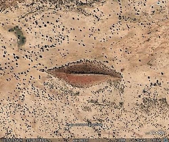 Самые забавные кадры с Google Maps (50 фото)