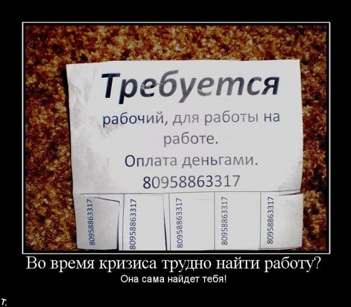 http://trinixy.ru/pics4/20090922/demotivators_24.jpg