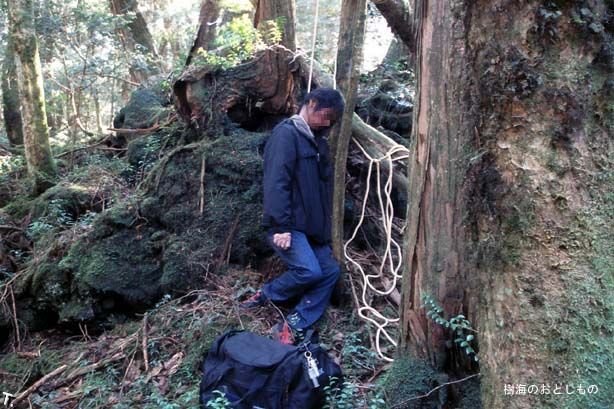 Жесть дня. Аокигахара - лес самоубийств в Японии (19 фото)