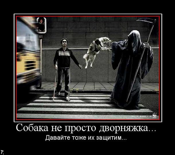 http://trinixy.ru/pics4/20091030/demotivatrori_10.jpg