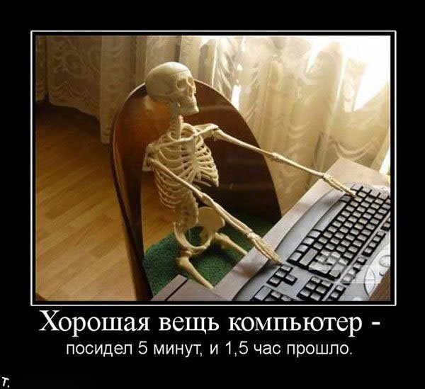 http://trinixy.ru/pics4/20091030/demotivatrori_169.jpg