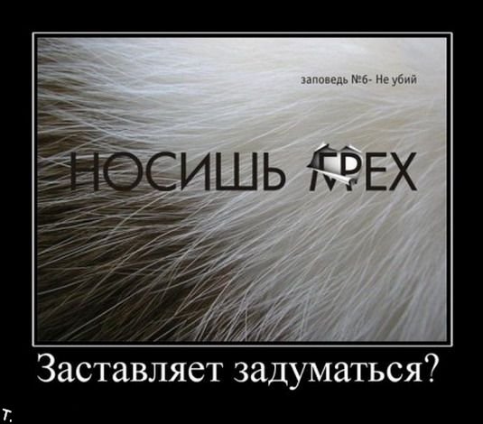 http://trinixy.ru/pics4/20091106/demotivators_nov6_164.jpg