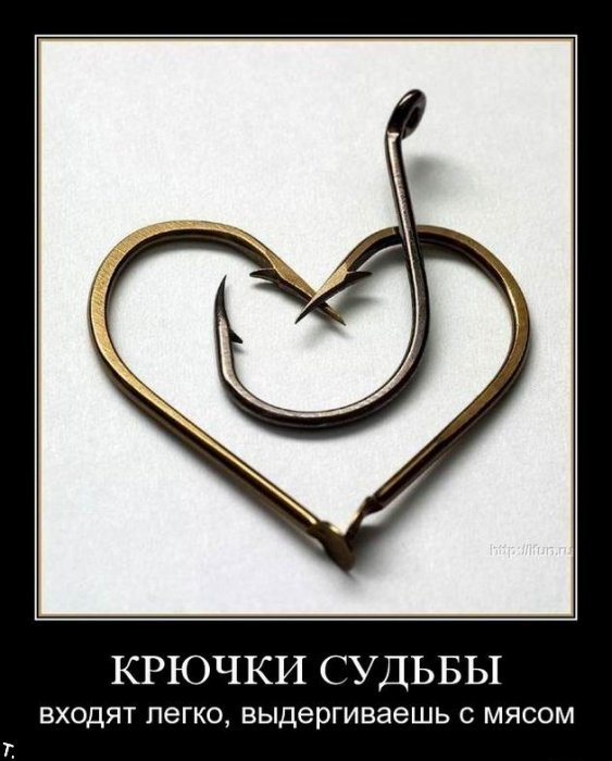 http://trinixy.ru/pics4/20091106/demotivators_nov6_56.jpg