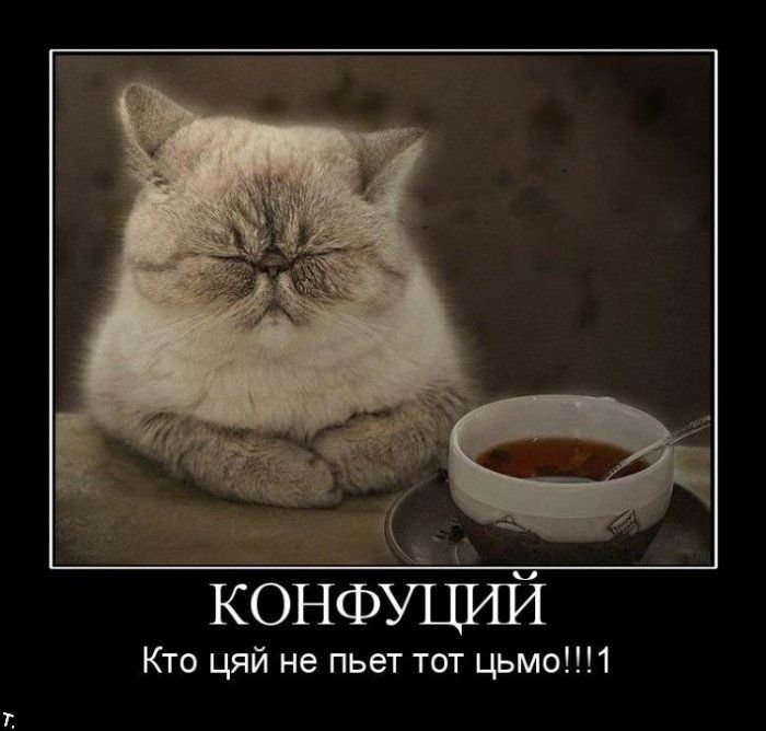 http://trinixy.ru/pics4/20091106/demotivators_nov6_73.jpg