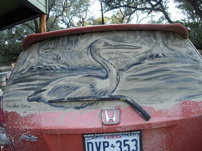 рисунки на грязных машинах 
