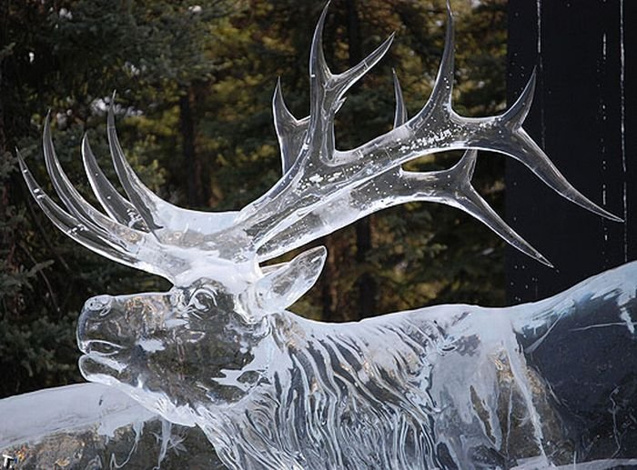 Потрясающие скульптуры из льда (20 фото) » Триникси