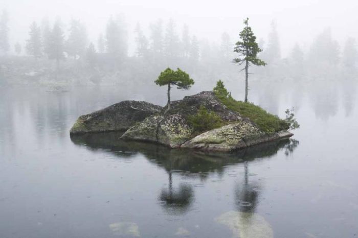 Красивый крошечный остров в середине озера (22 фото)
