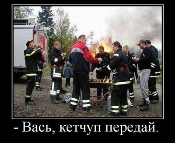http://trinixy.ru/pics4/20100514/demotivatori_13.jpg