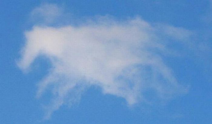 Облака в виде лошадок (17 фото)