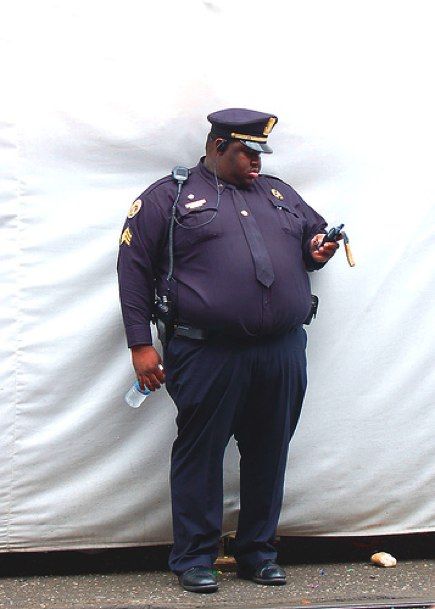Толстые полицейские (14 фото)