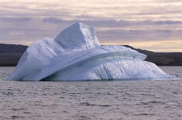 Это Арктика (25 фото)