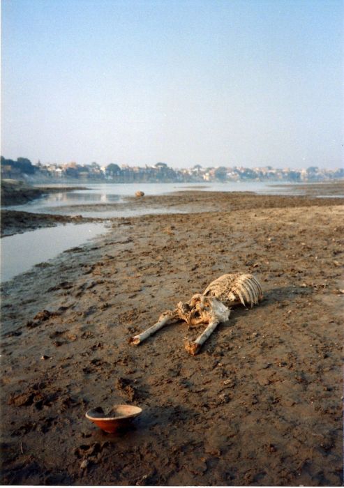 Ужасы священной реки Ганг (22 фото)