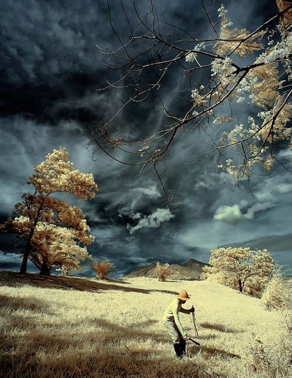 http://trinixy.ru/pics4/20101229/beautiful_infrared_landscapes_05.jpg
