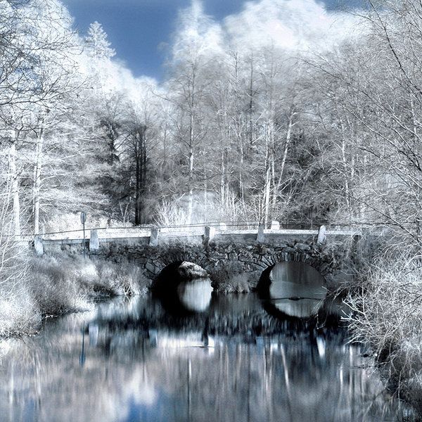 http://trinixy.ru/pics4/20101229/beautiful_infrared_landscapes_29.jpg