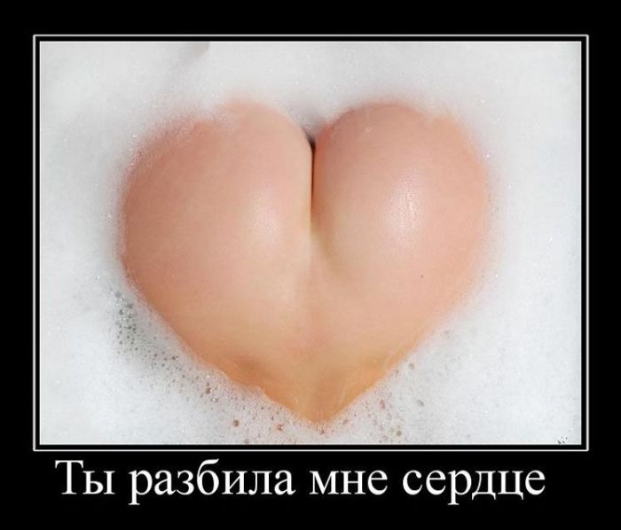 http://trinixy.ru/pics4/20110104/demotivatory_28.jpg