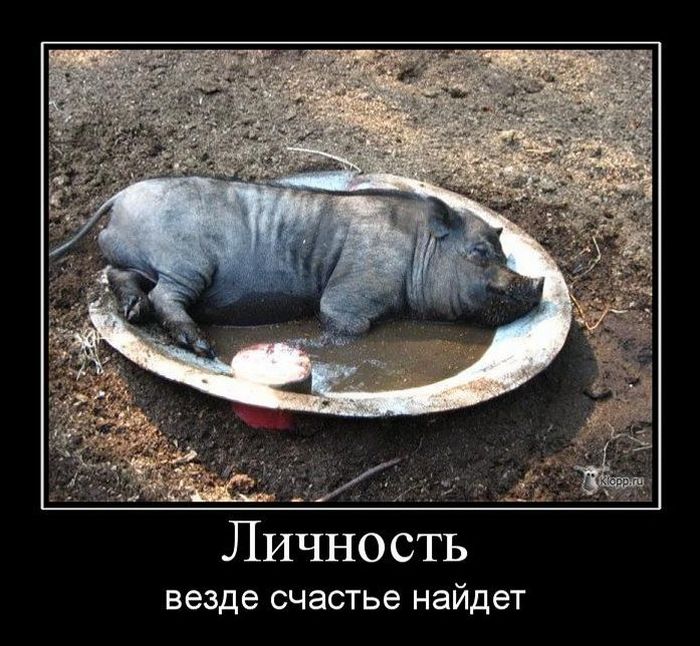 http://trinixy.ru/pics4/20110104/demotivatory_32.jpg
