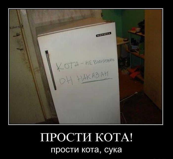 http://trinixy.ru/pics4/20110117/demotivatory_42.jpg