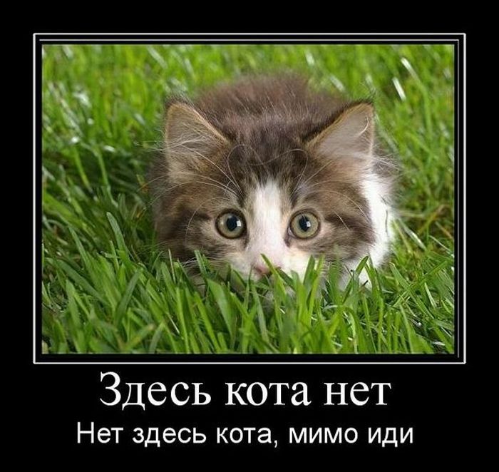 http://trinixy.ru/pics4/20110207/demotivatory_02.jpg