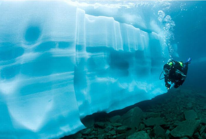 Дайвинг под толщей льда (15 фото)