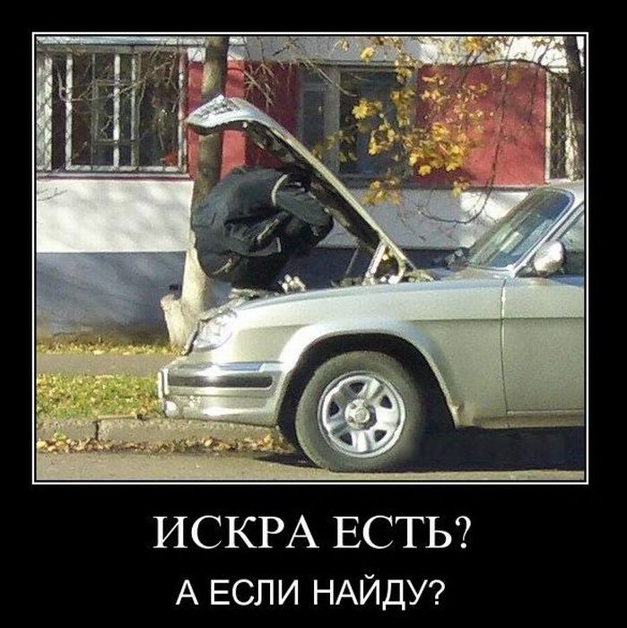 http://trinixy.ru/pics4/20110222/demotivatory_34.jpg